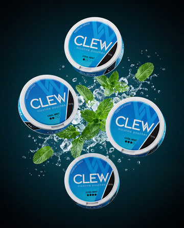 zy-bundle:clew-cool-mint-bundle